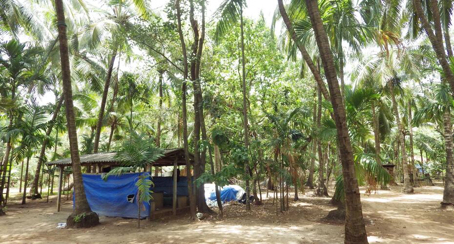 Aashish Homestay & Resort, Tarkarli 3